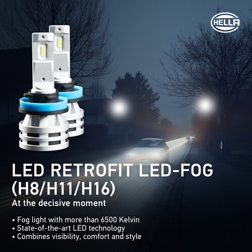 Retrofit Led Bulbs